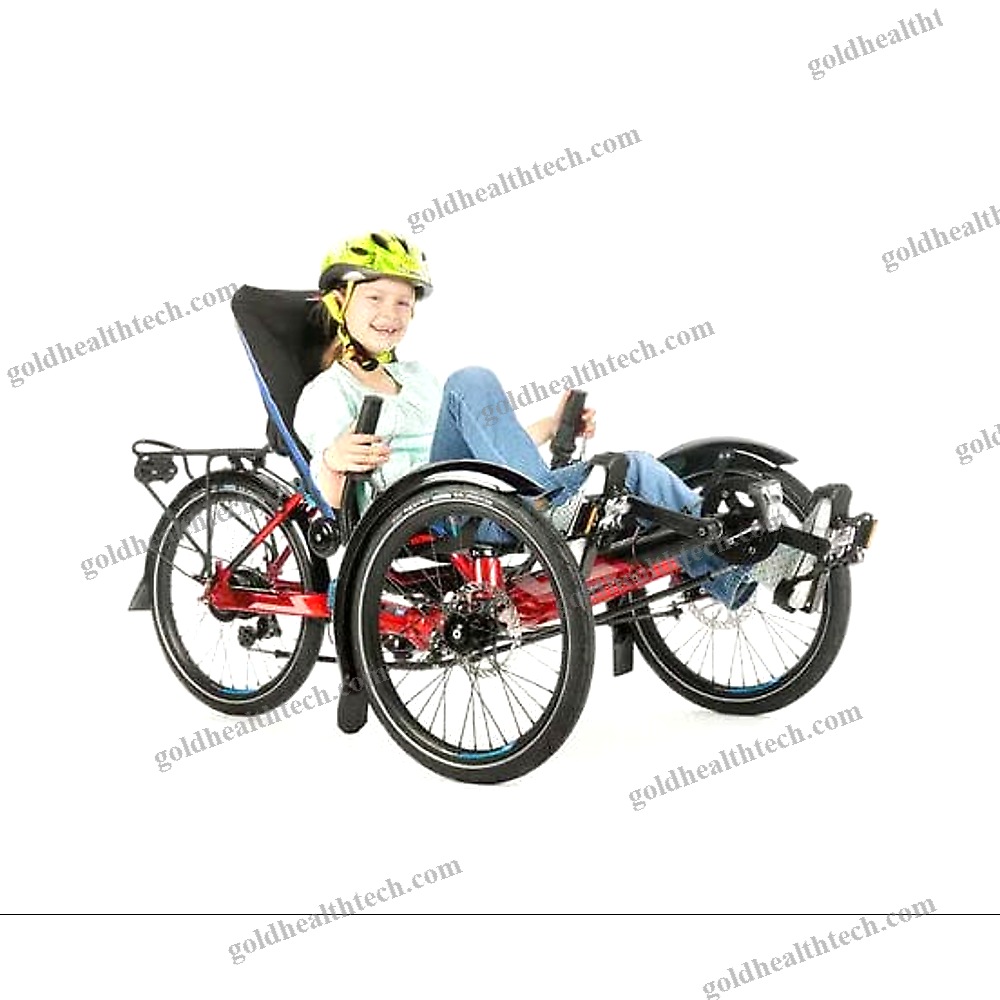 Crank-Propelled Recumbent Trike