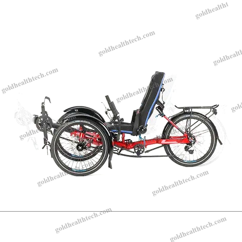 Crank-Propelled Recumbent Trike