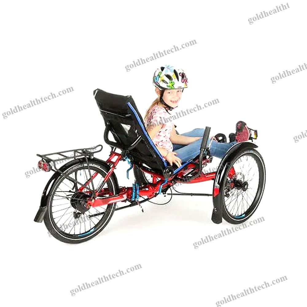 Crank-Propelled Recumbent Trike