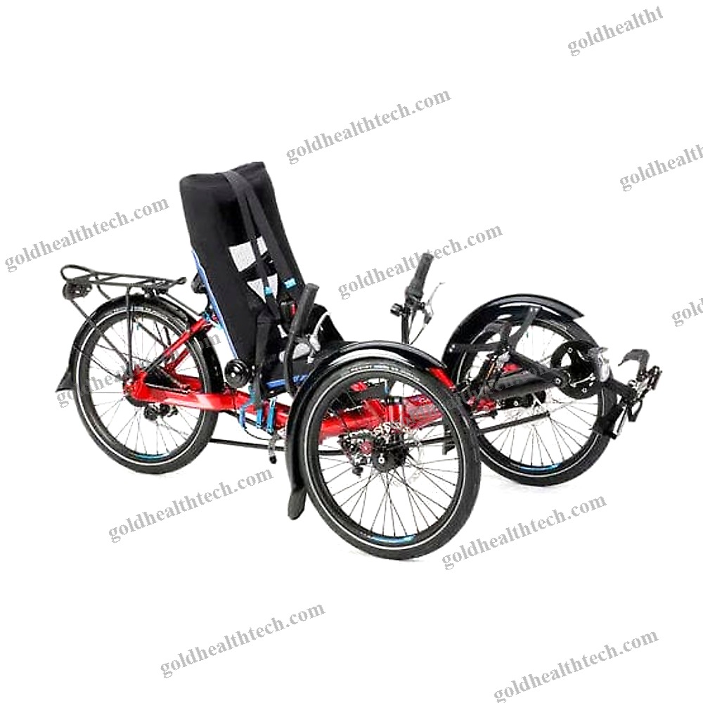 Crank-Propelled Recumbent Trike