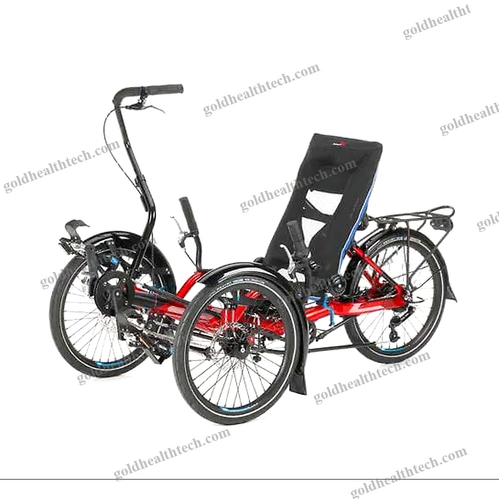 Crank-Propelled Recumbent Trike