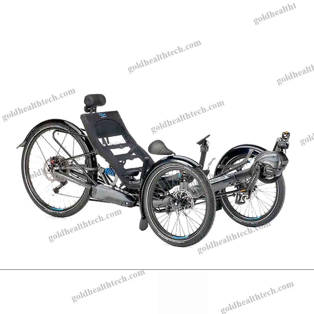 Crank-Propelled Recumbent Trike
