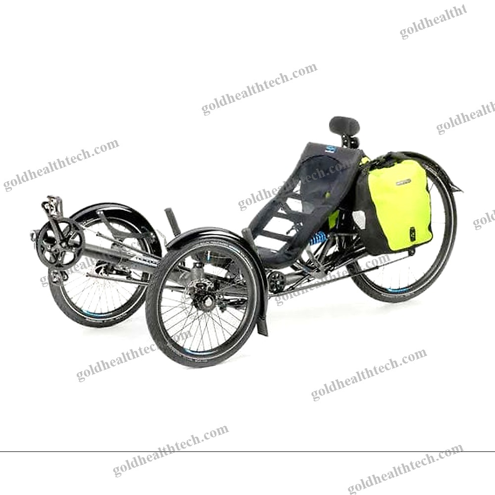 Crank-Propelled Recumbent Trike