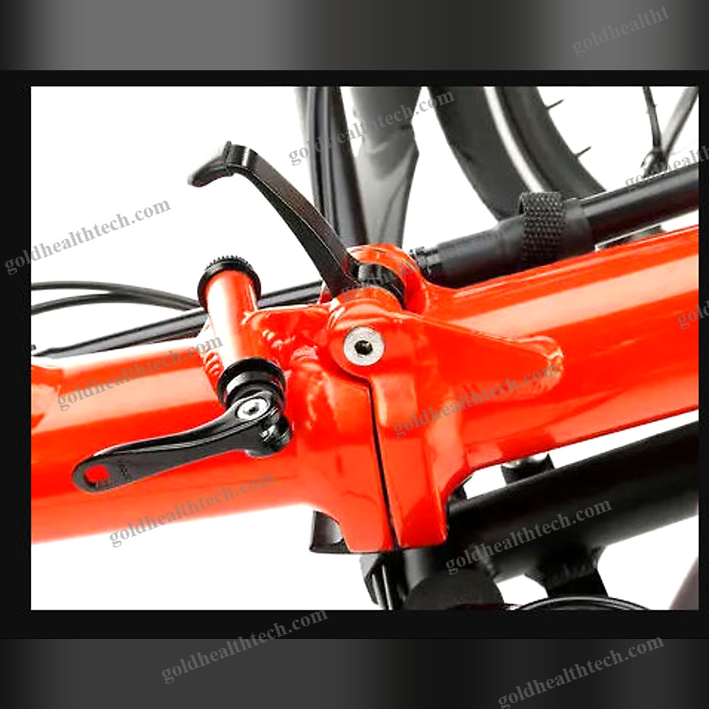 Crank-Propelled Recumbent Trike