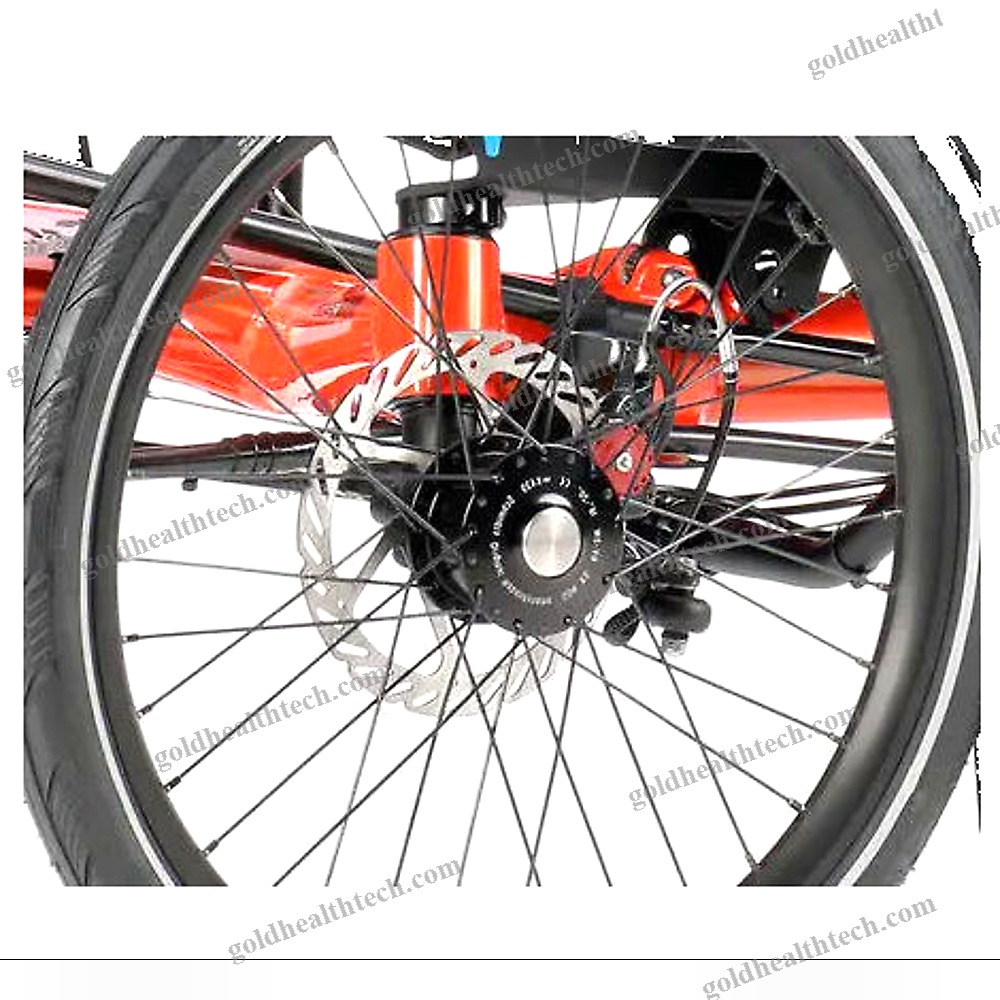 Crank-Propelled Recumbent Trike