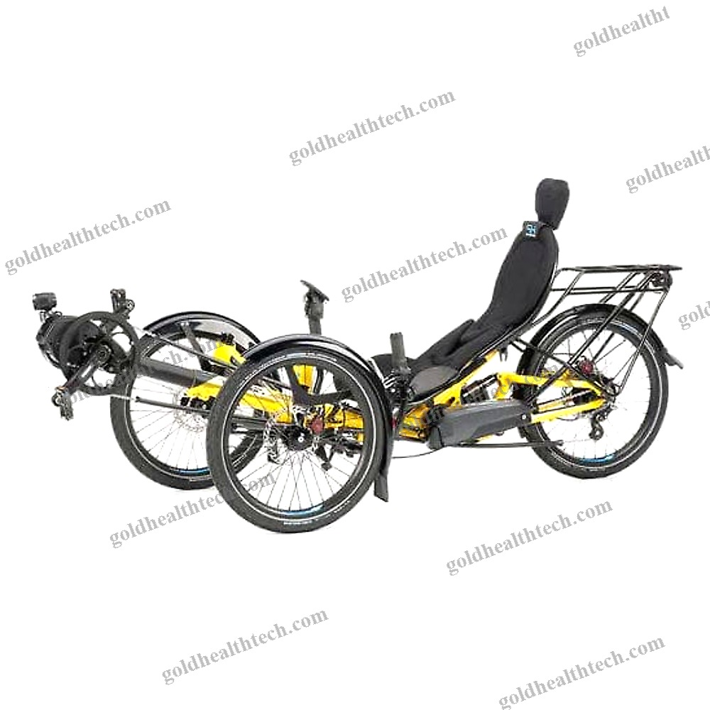 Crank-Propelled Recumbent Trike