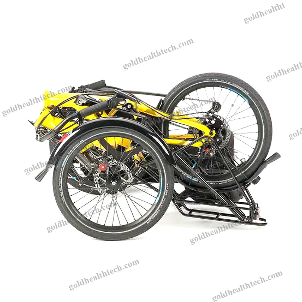 Crank-Propelled Recumbent Trike