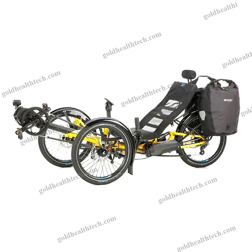 Crank-Propelled Recumbent Trike