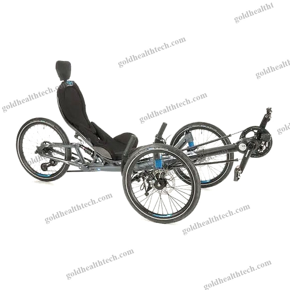 Crank-Propelled Recumbent Trike