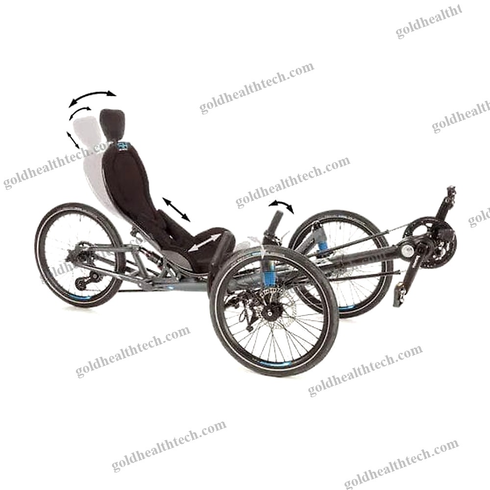 Crank-Propelled Recumbent Trike