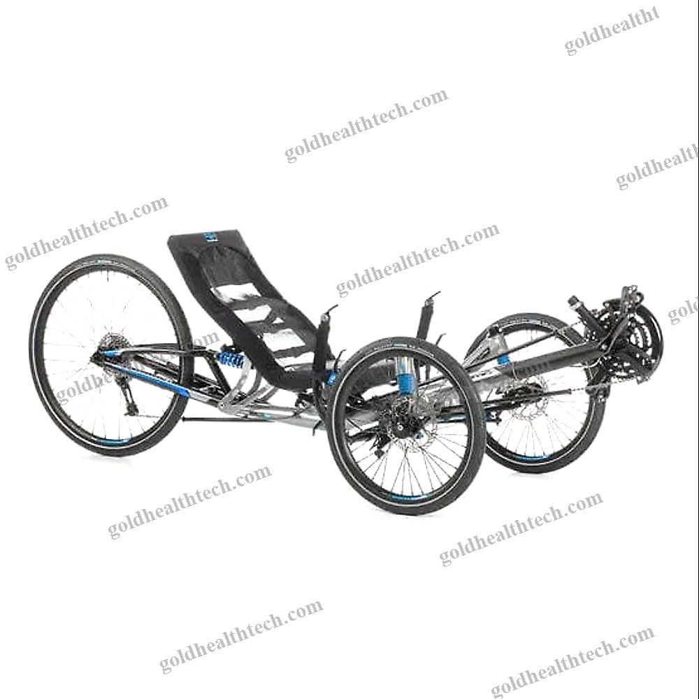 Crank-Propelled Recumbent Trike