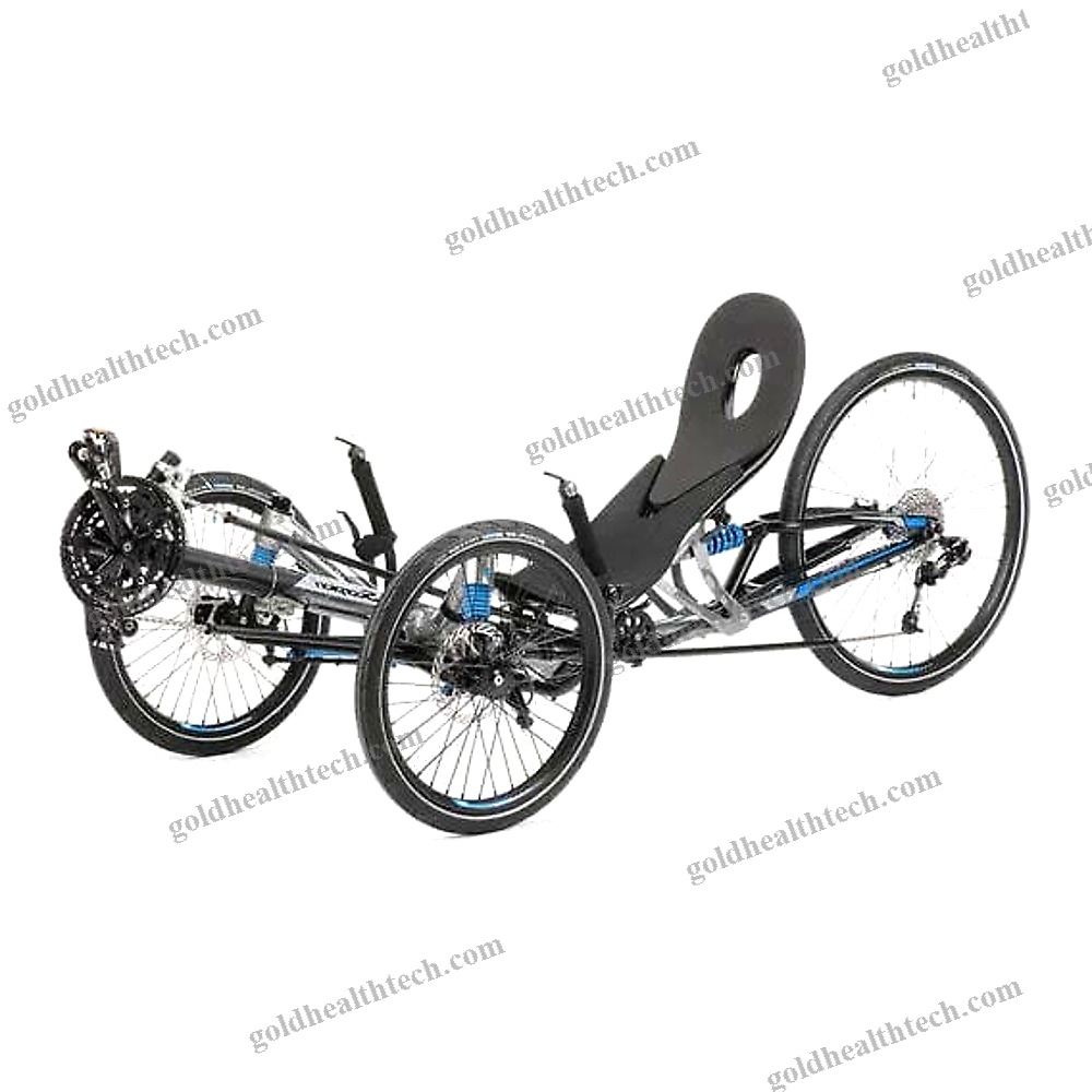 Crank-Propelled Recumbent Trike