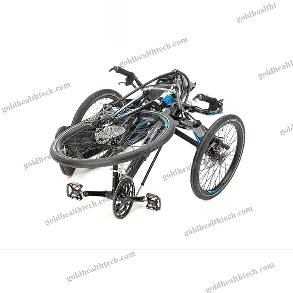 Crank-Propelled Recumbent Trike
