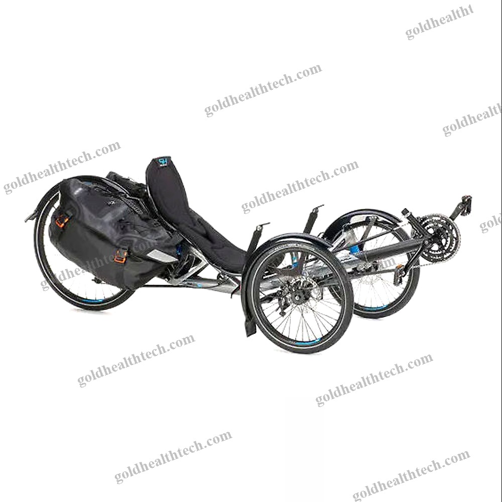 Crank-Propelled Recumbent Trike