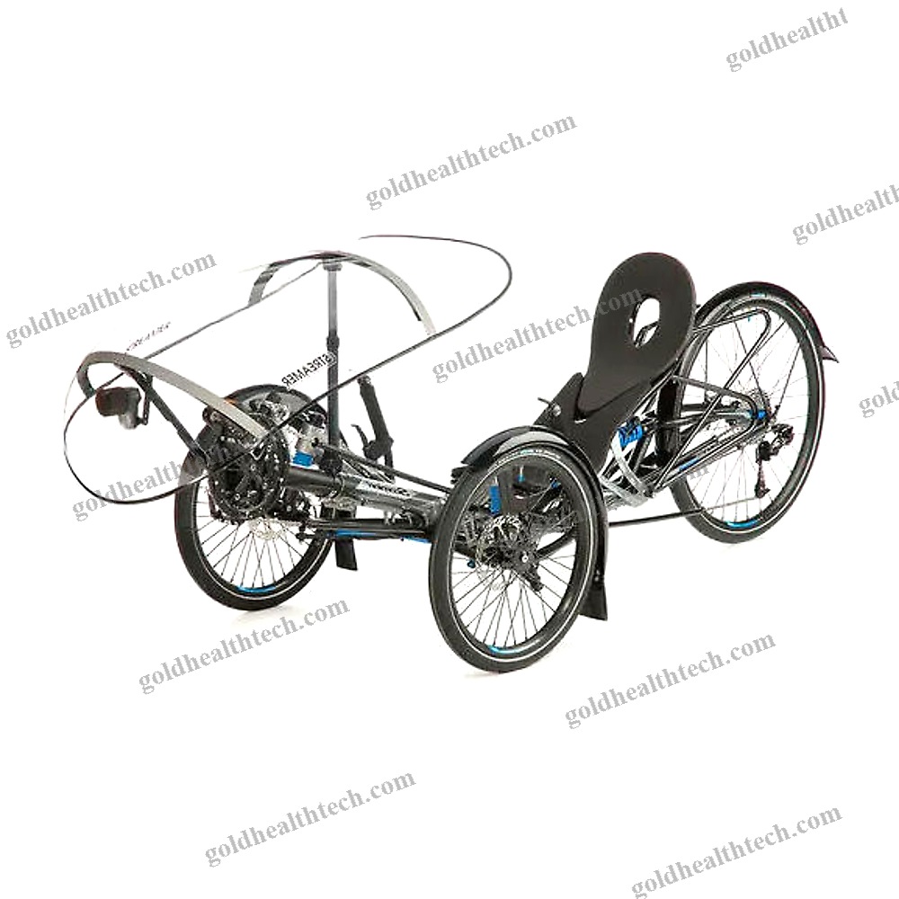 Crank-Propelled Recumbent Trike