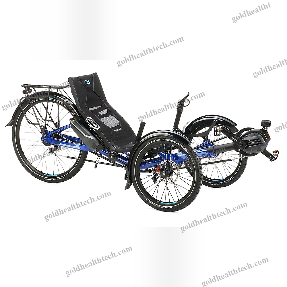 Crank-Propelled Recumbent Trike