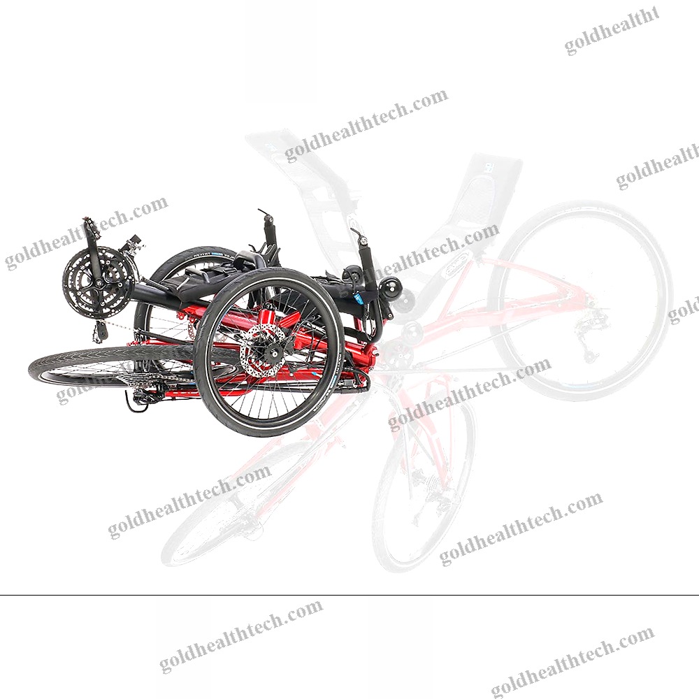 Crank-Propelled Recumbent Trike