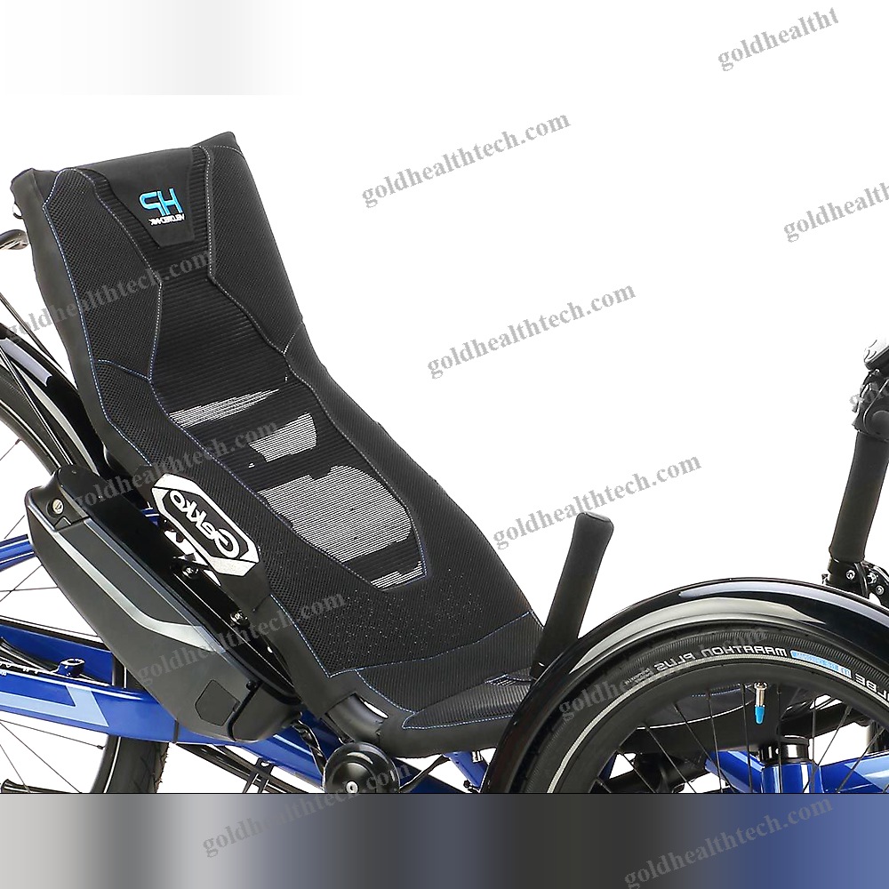 Crank-Propelled Recumbent Trike