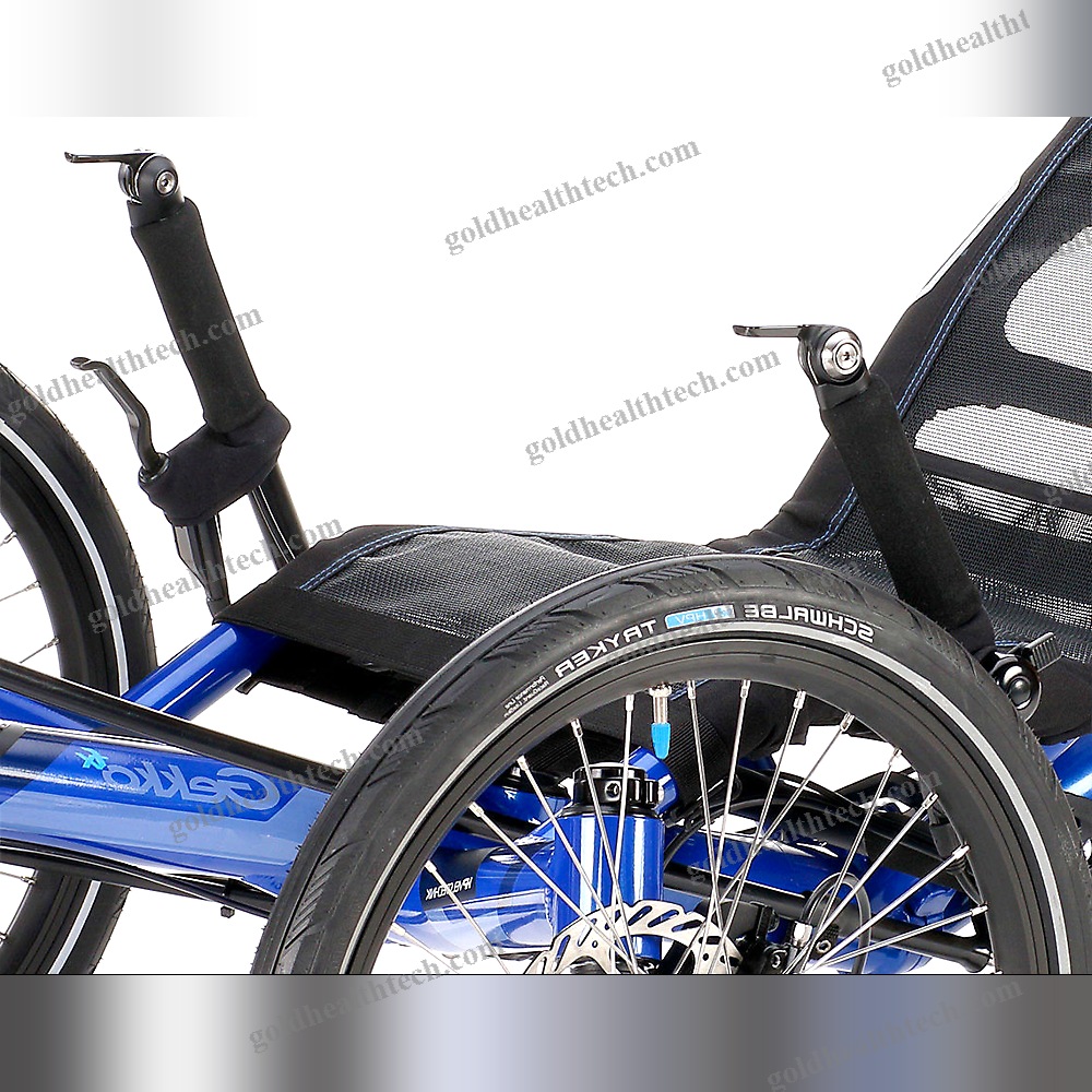 Crank-Propelled Recumbent Trike