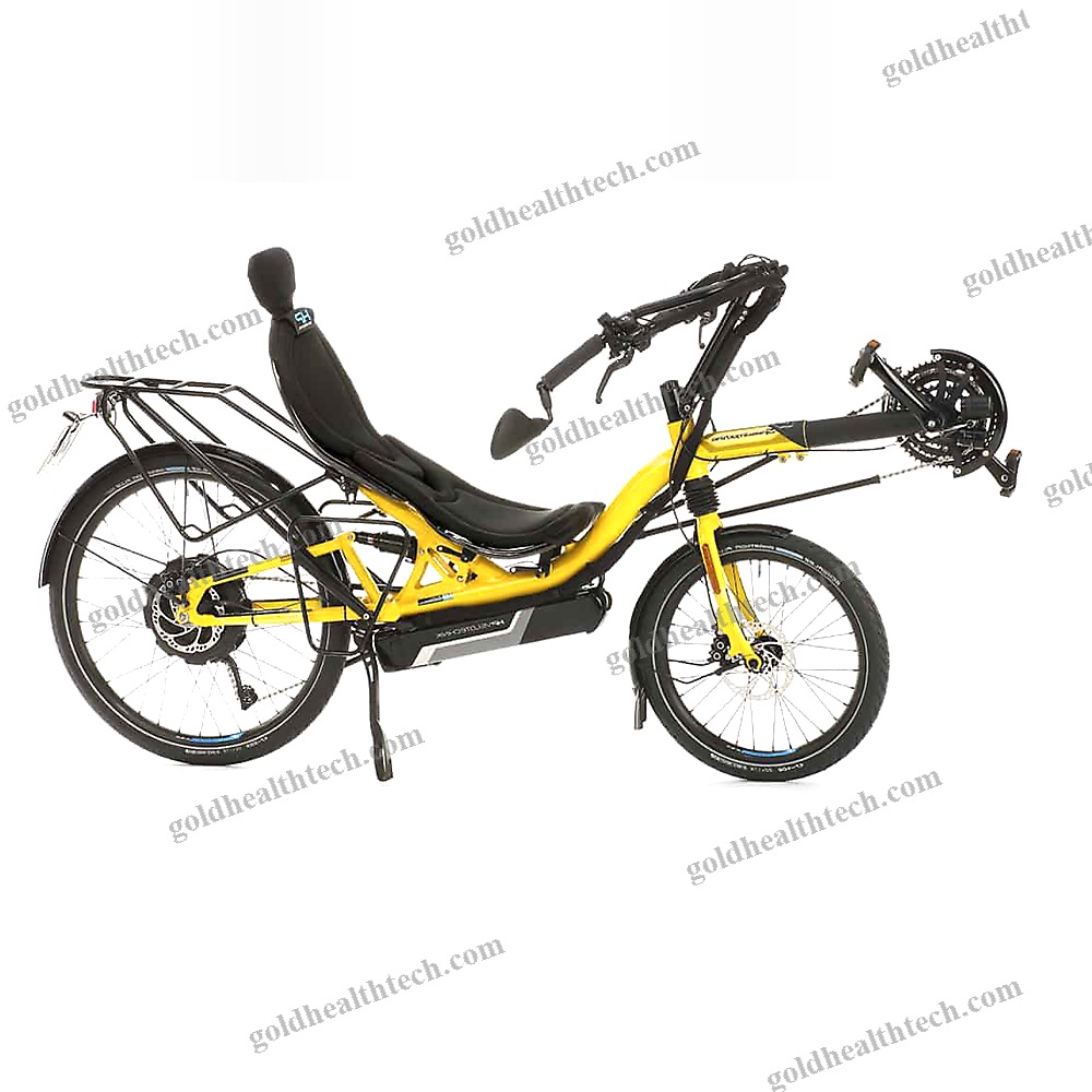 Electric Recumbent Bicycle