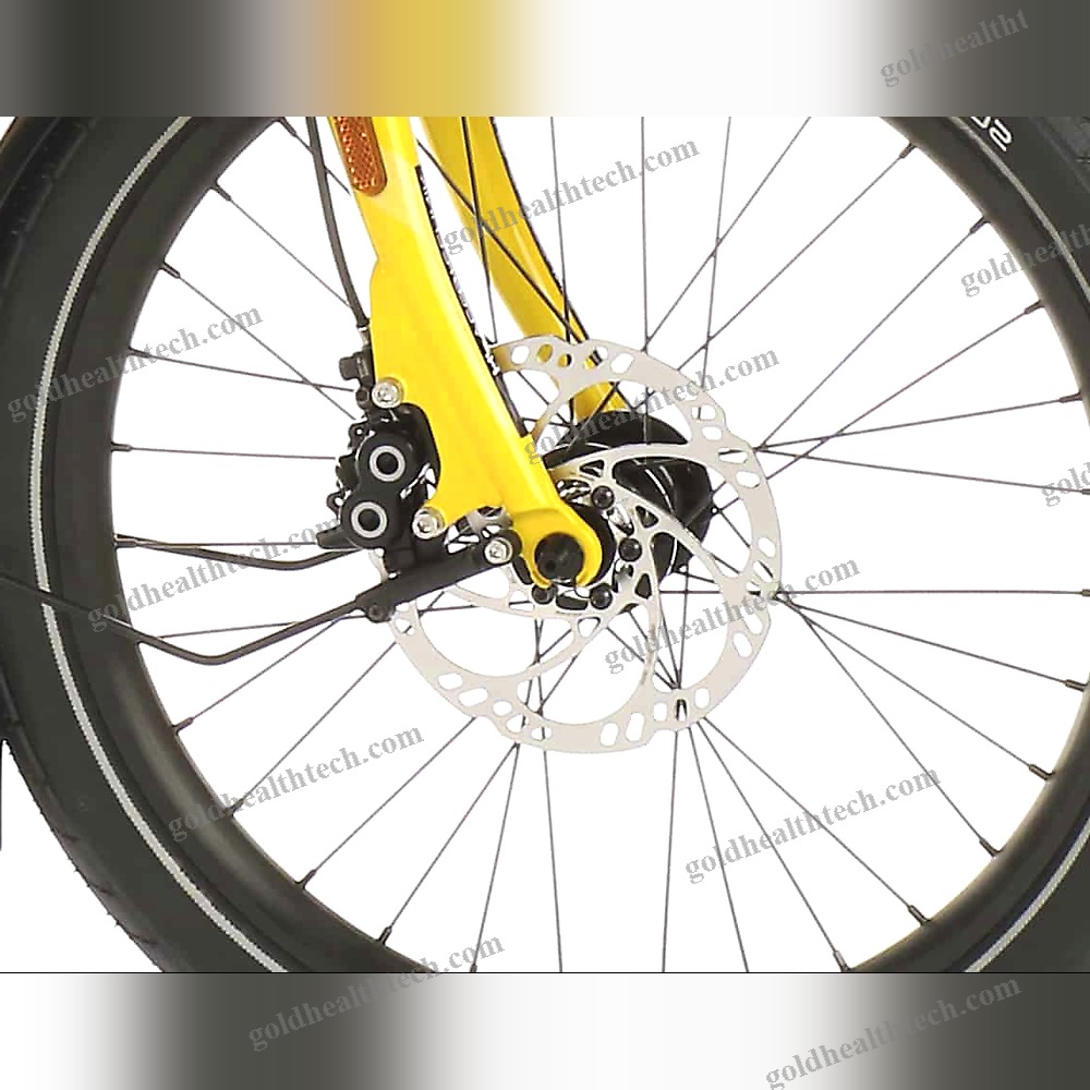 Electric Recumbent Bicycle