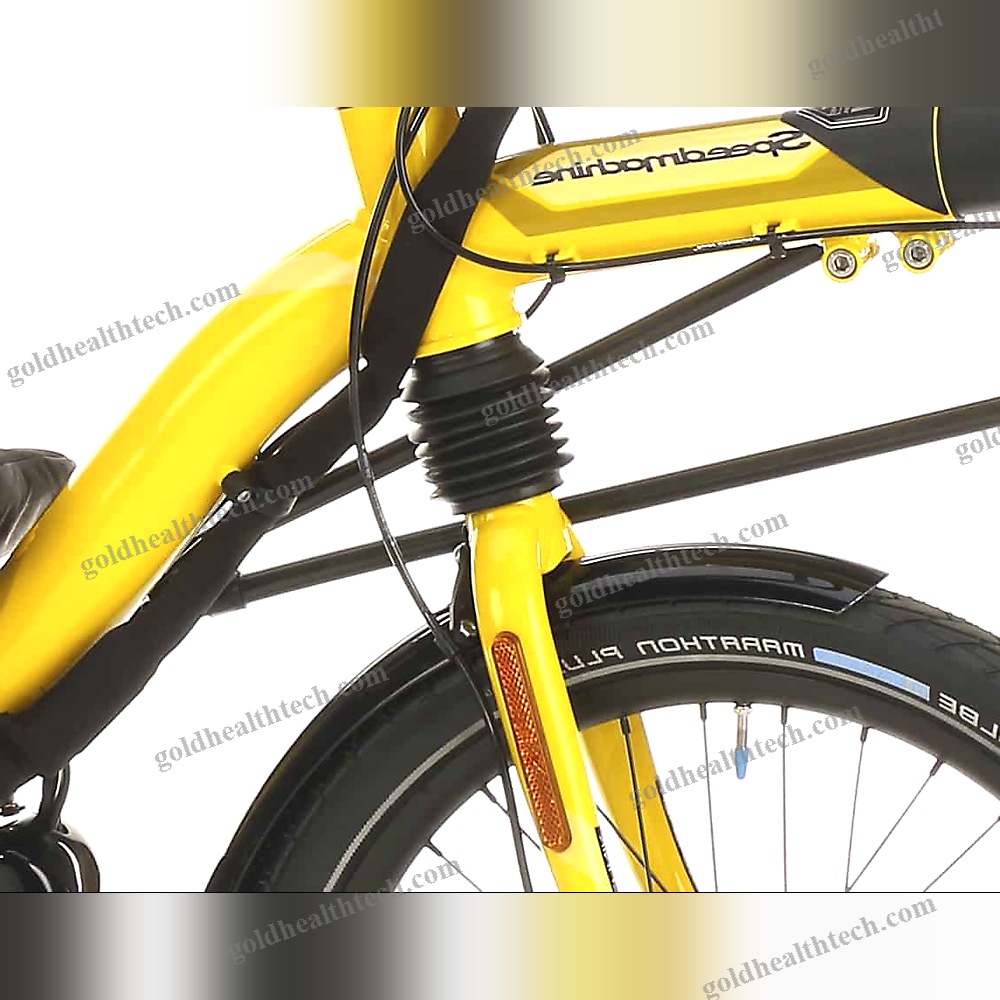 Electric Recumbent Bicycle