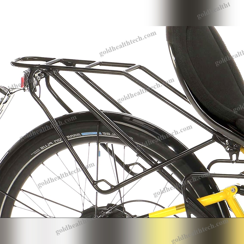 Electric Recumbent Bicycle