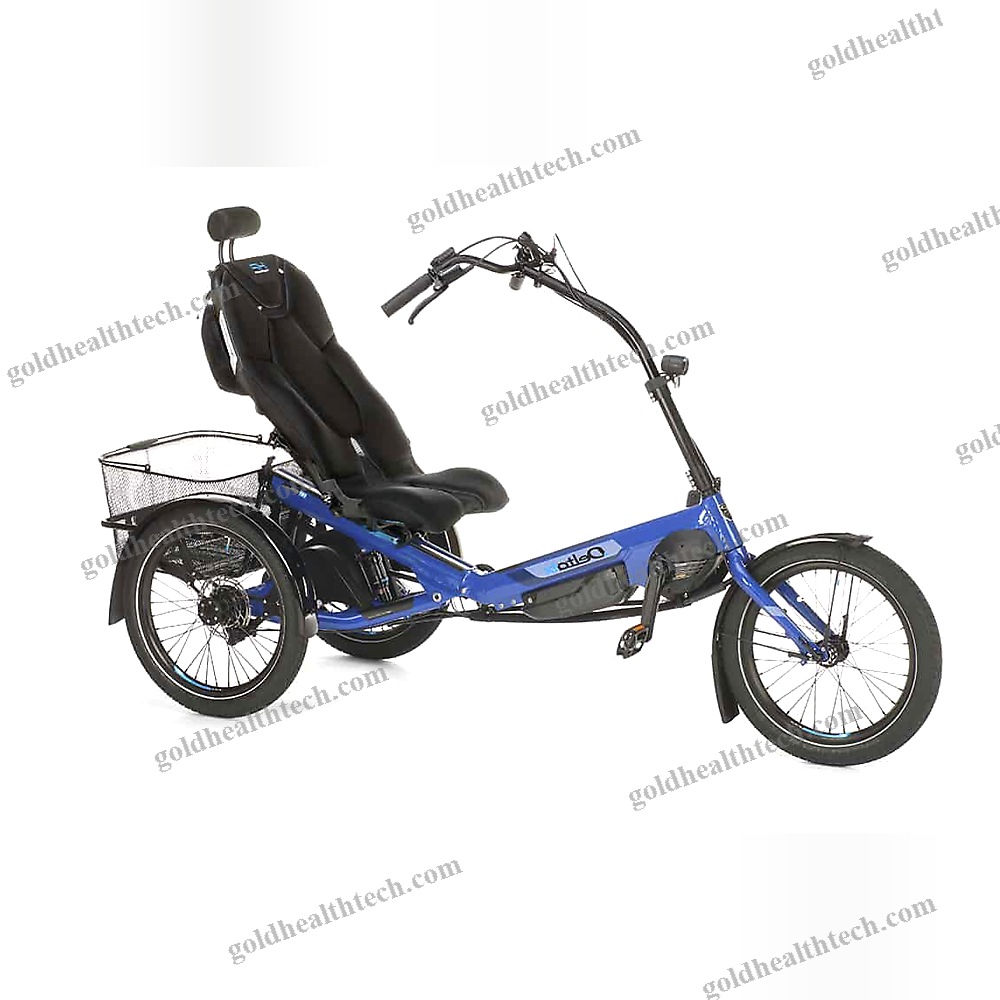 Electric Recumbent Trike