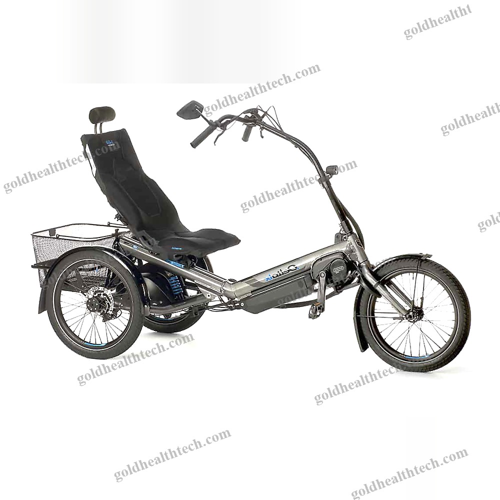 Electric Recumbent Trike