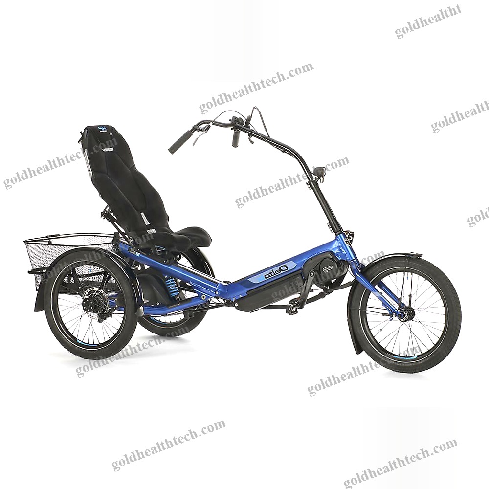 Electric Recumbent Trike