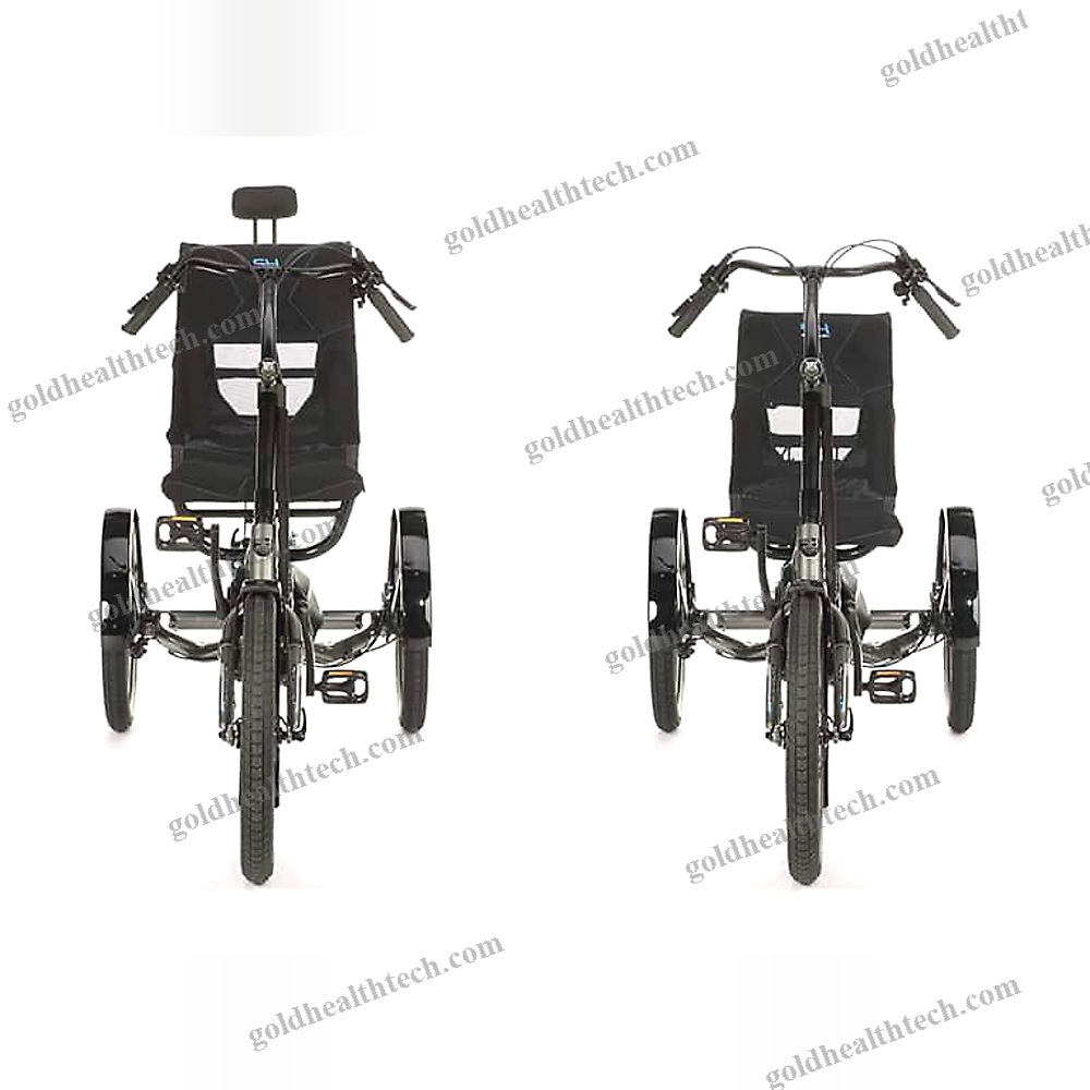 Electric Recumbent Trike