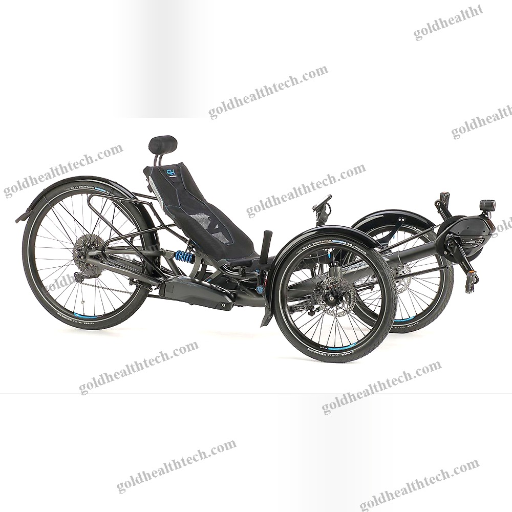 Crank-Propelled Recumbent Trike