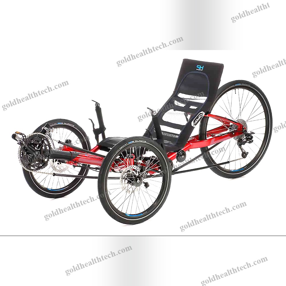 Crank-Propelled Recumbent Trike