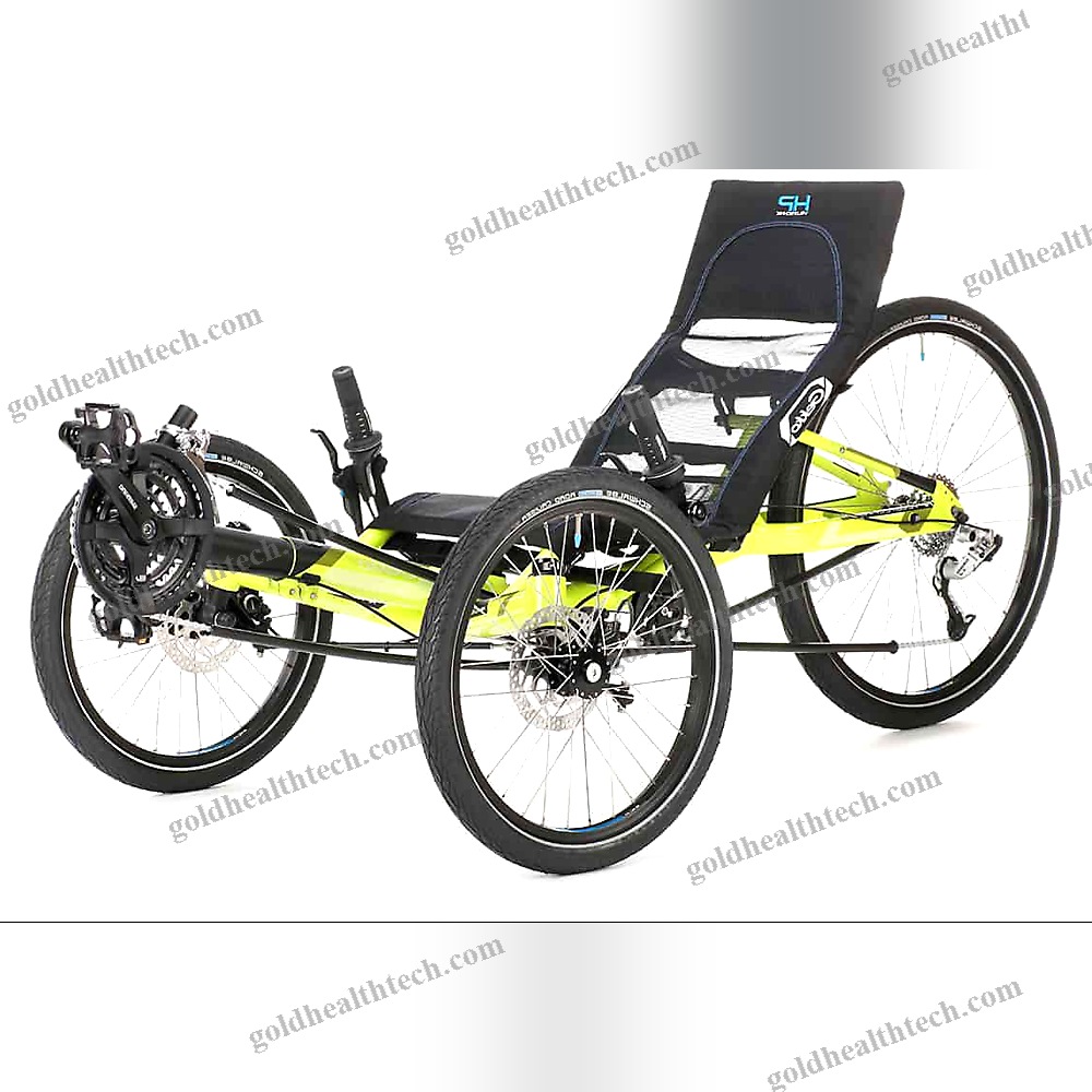 Crank-Propelled Recumbent Trike