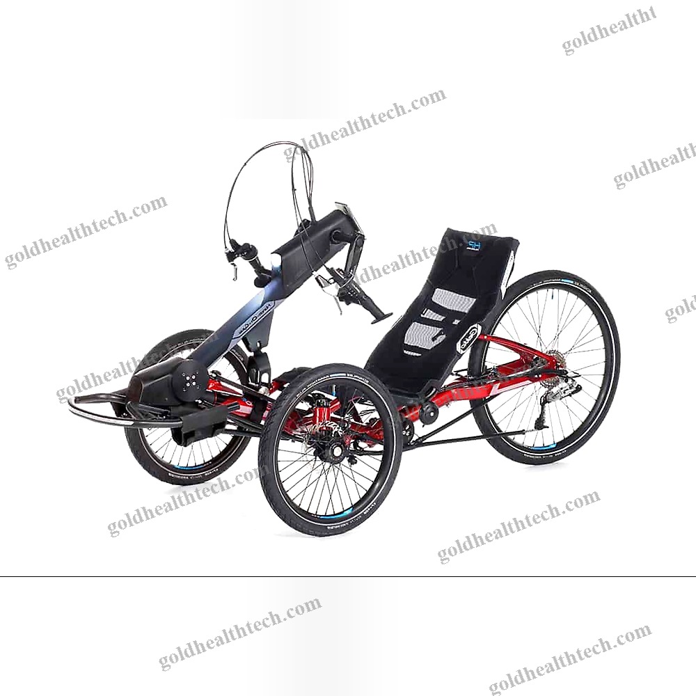 Crank-Propelled Recumbent Trike