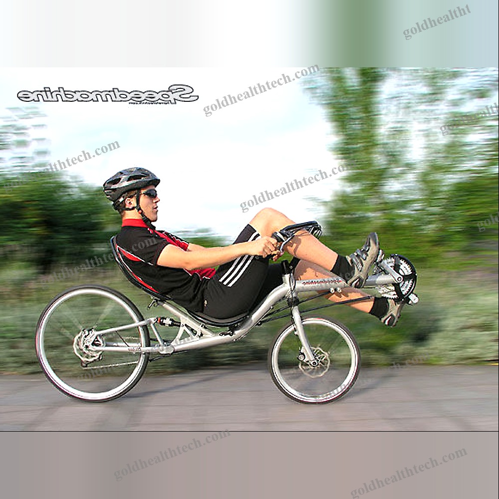 Crank-Propelled Recumbent Bicycle