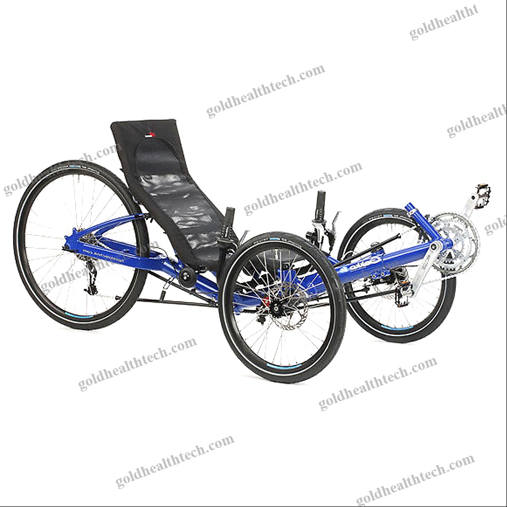 Crank-Propelled Recumbent Trike