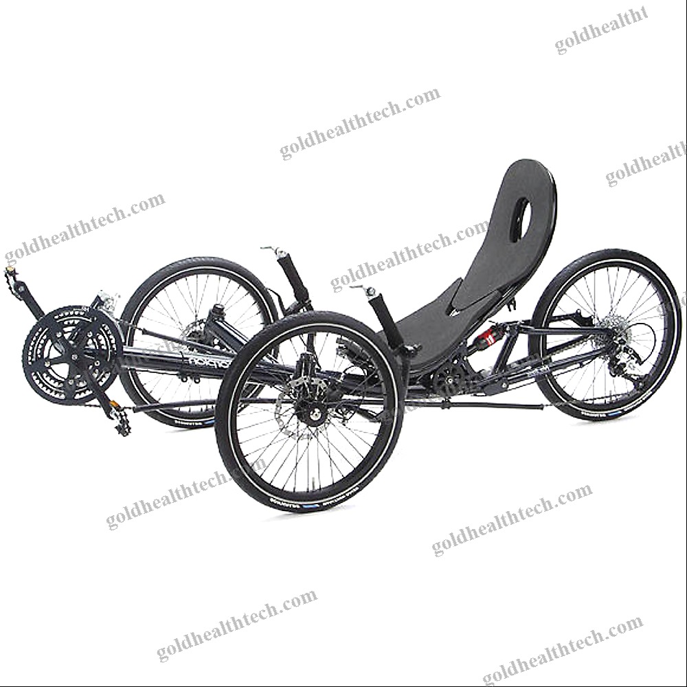 Crank-Propelled Recumbent Trike