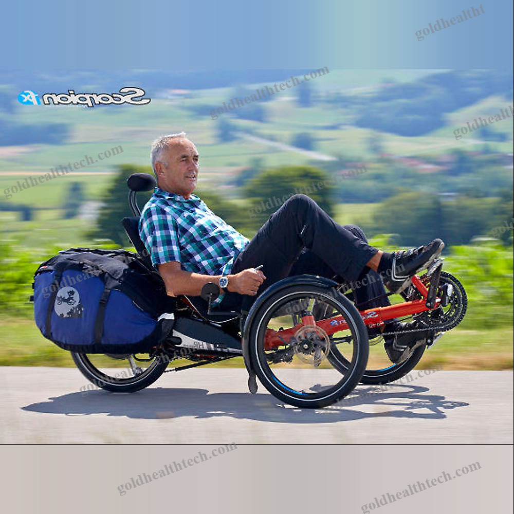 Crank-Propelled Recumbent Trike