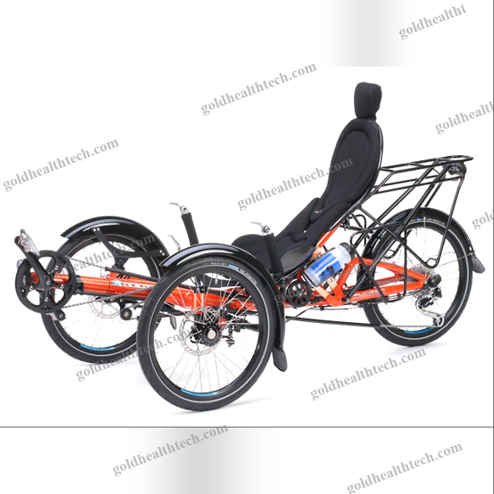 Crank-Propelled Recumbent Trike