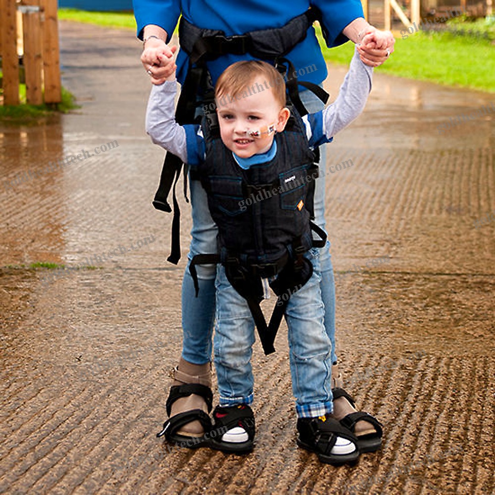 Walking Harness