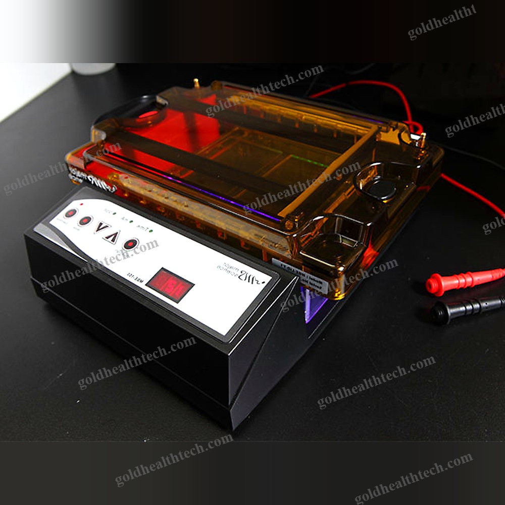 Agarose Gel Electrophoresis System