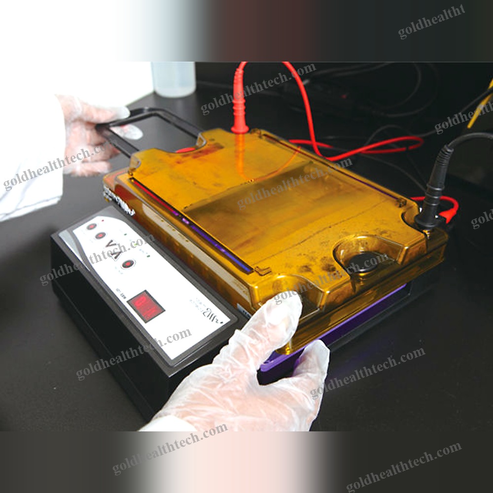 Agarose Gel Electrophoresis System