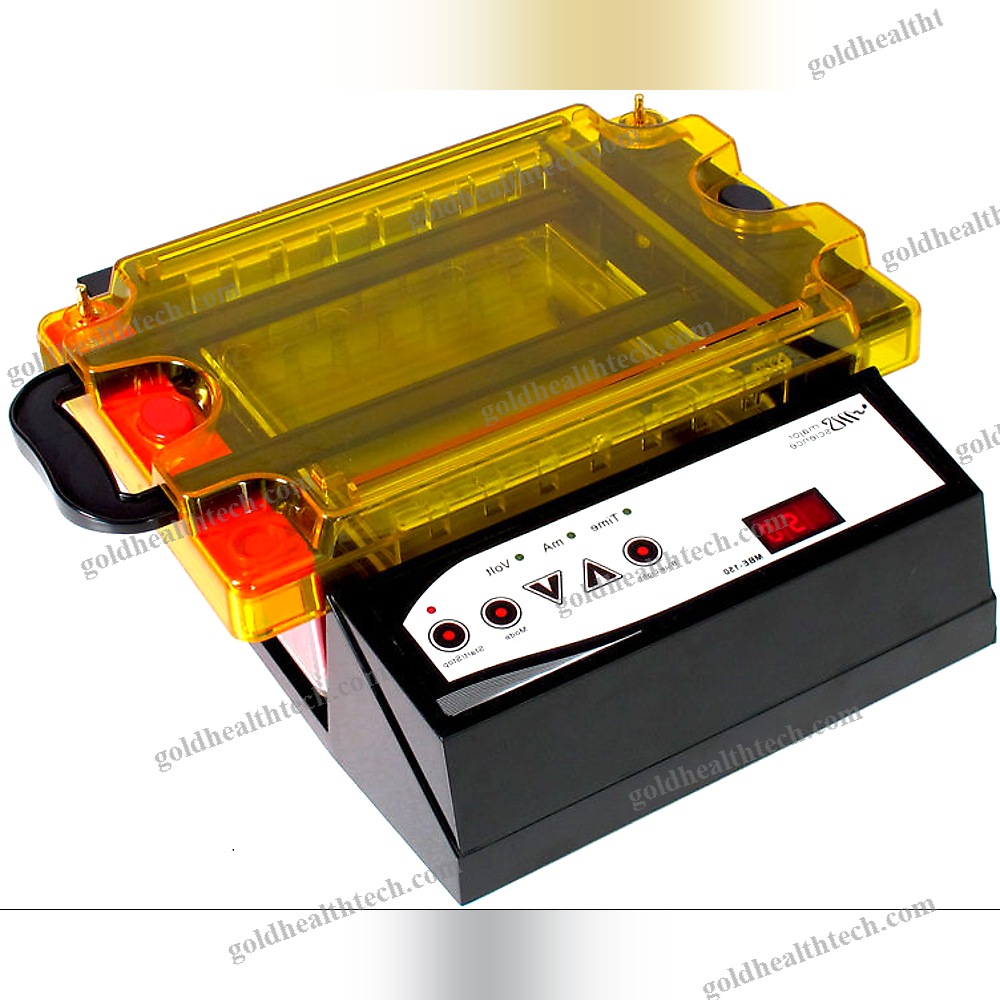 Agarose Gel Electrophoresis System