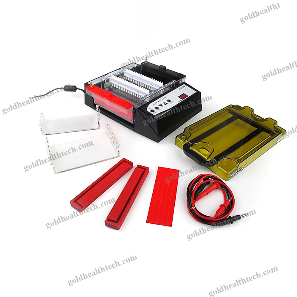 Agarose Gel Electrophoresis System