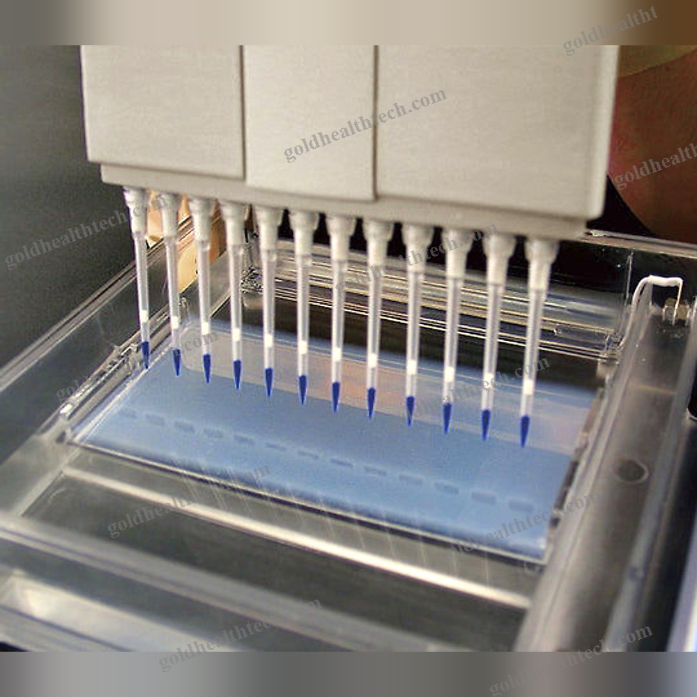 Multifunction Electrophoresis System
