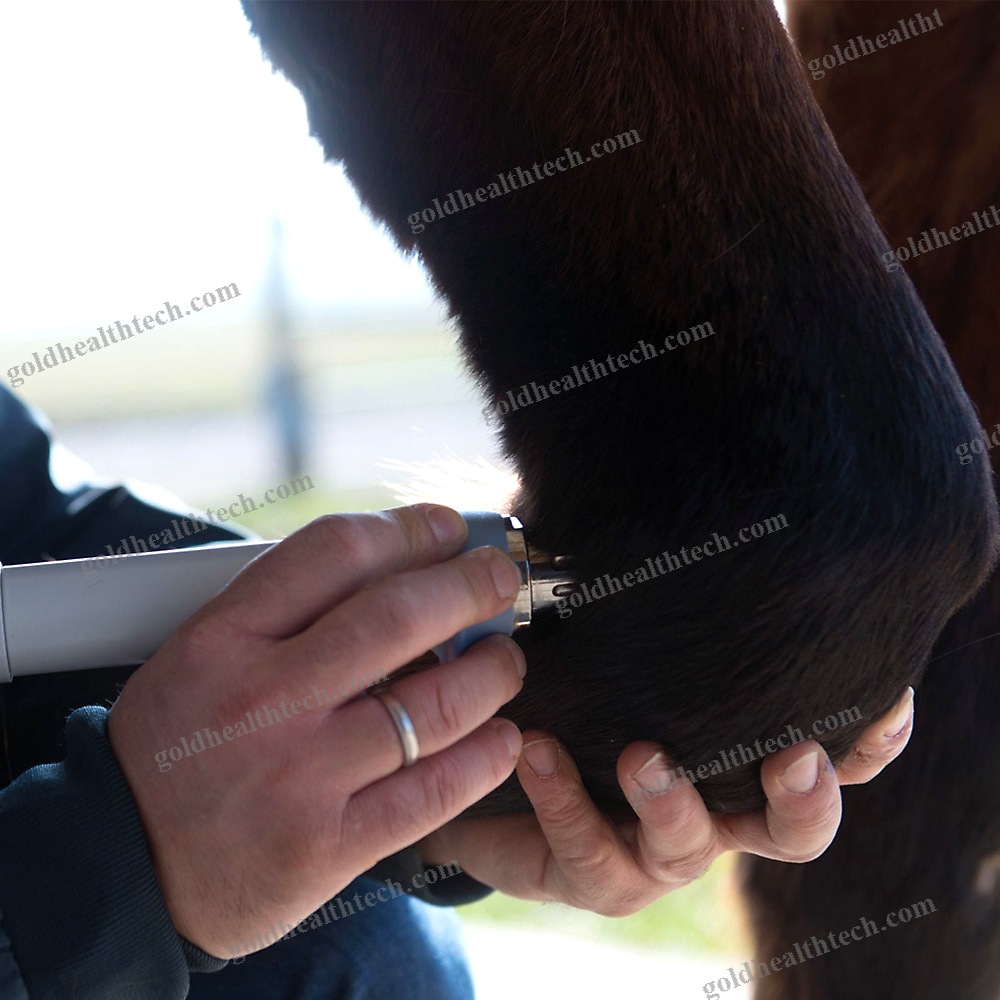 Veterinary Cryotherapy Unit
