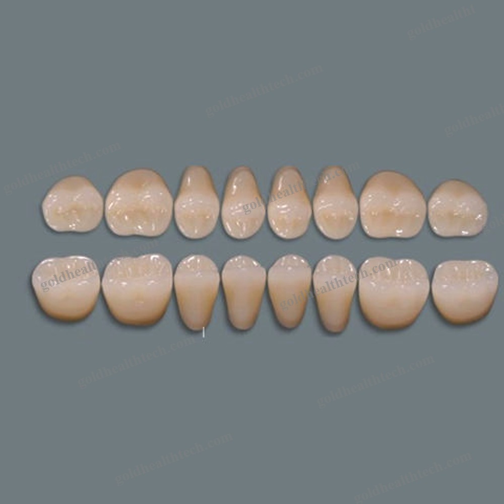 Acrylic Dental Prosthesis
