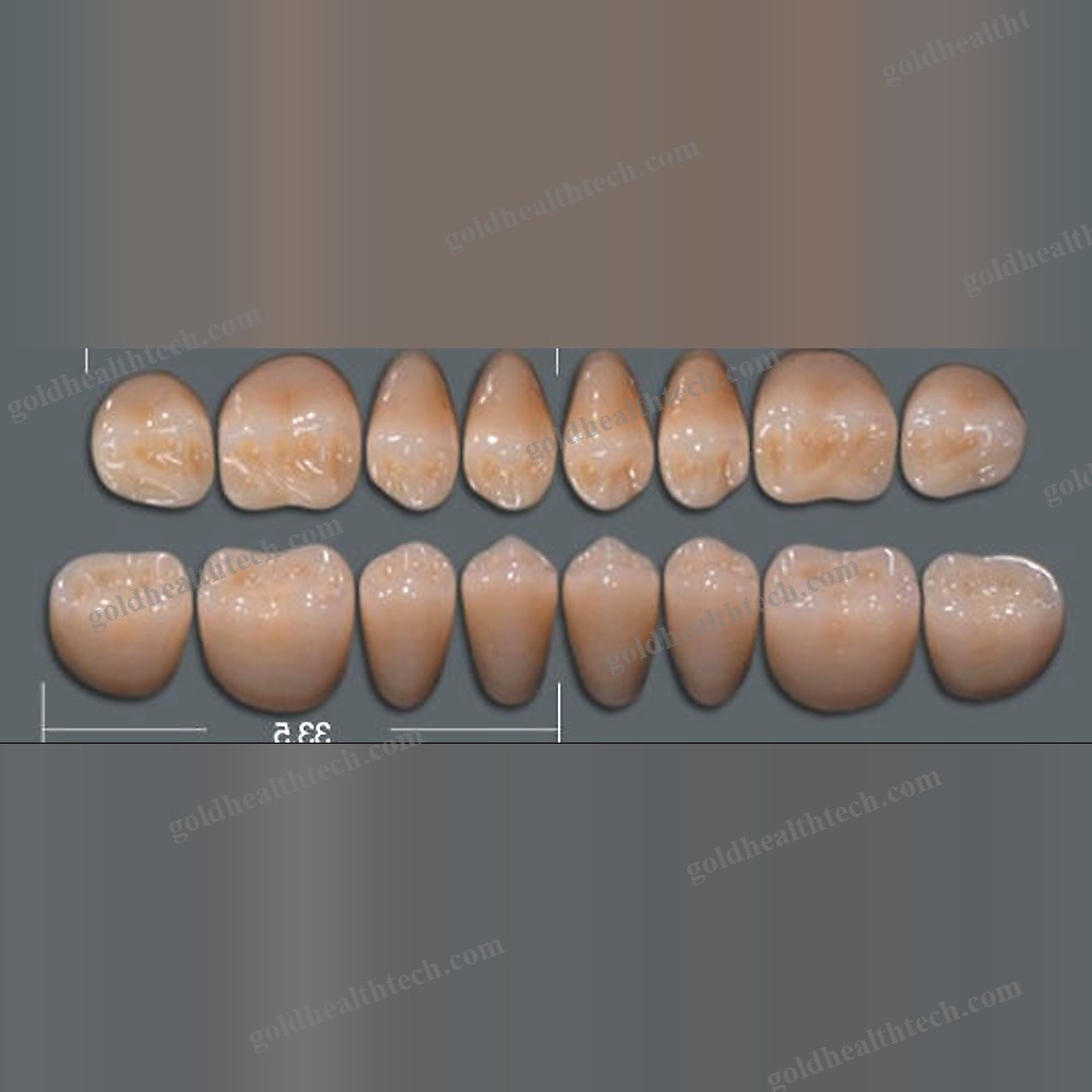 Acrylic Dental Prosthesis