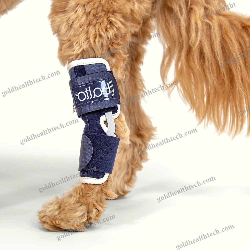 Hock Veterinary Splint